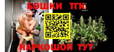 сатива Гай