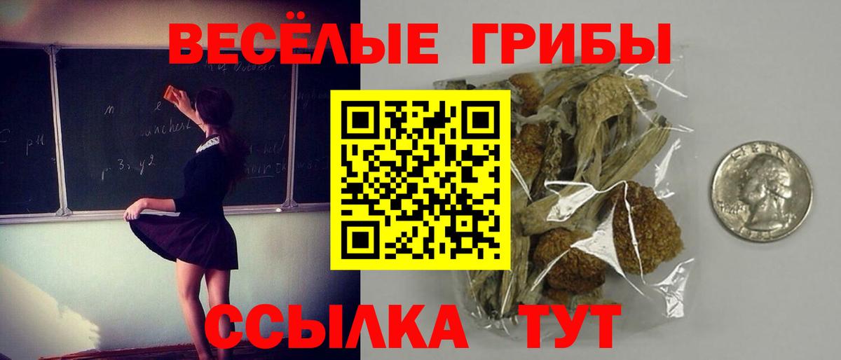 цены   Вход с VPN  Галлюциногенные грибы Magic Shrooms  Саратов  Галлюциногенные грибы Magic Shrooms 